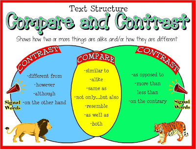 Comparison contrast essay block style